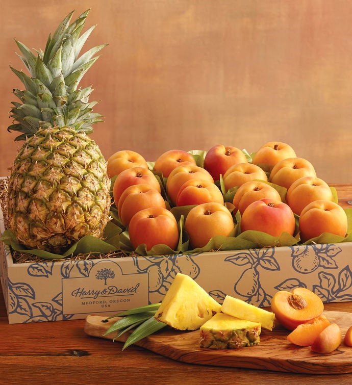 Fruit Basket Delivery Gourmet Pears & Fruit Gifts Harry & David