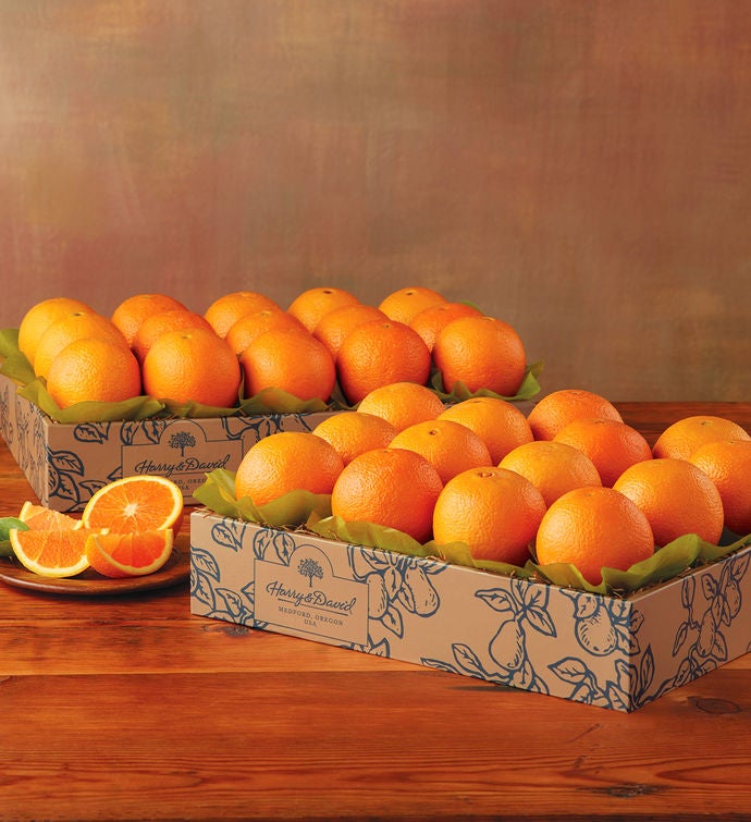 Oranges & Tangerines Fruit Delivery Harry & David