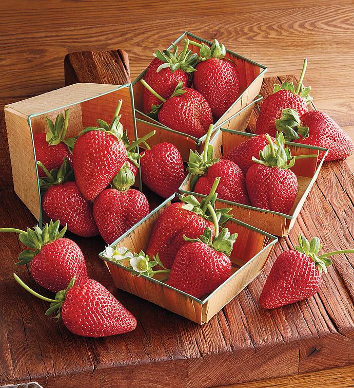 Organic Gift Baskets Organic Food & Fruit Delivery Harry & David