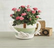 February club product