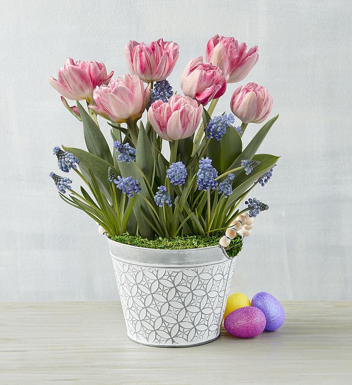 Tulip and Hyacinth Garden