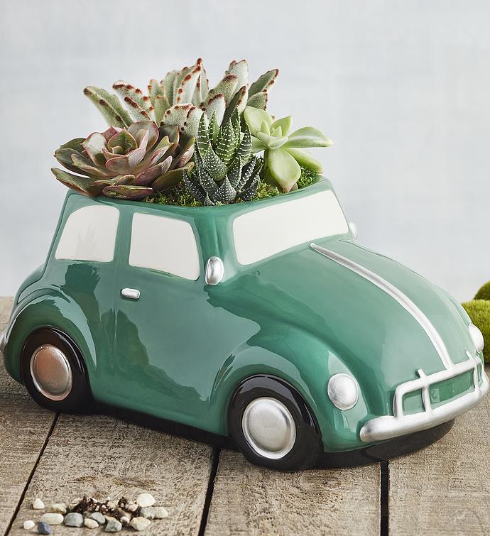 Father's Day Succulents in Retro Car Planter