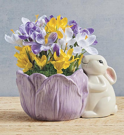 Crocus Bulb Garden in Bunny Planter