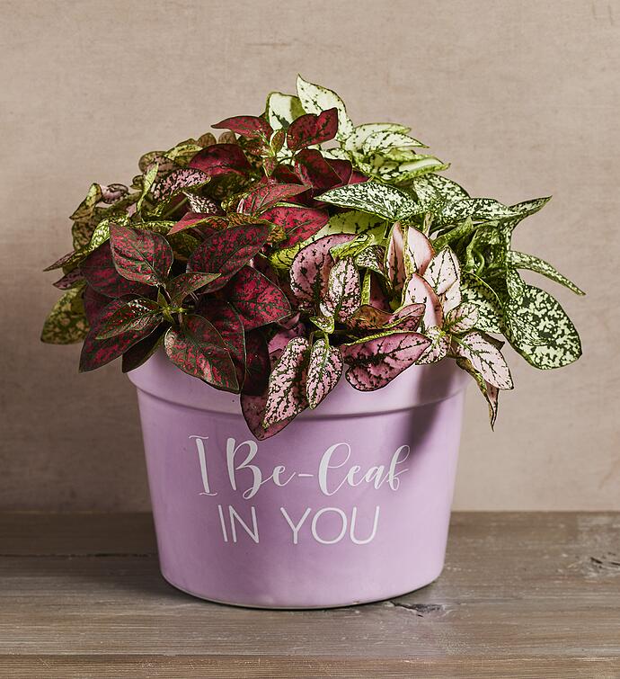 "I Be leaf in You" Plant Gift