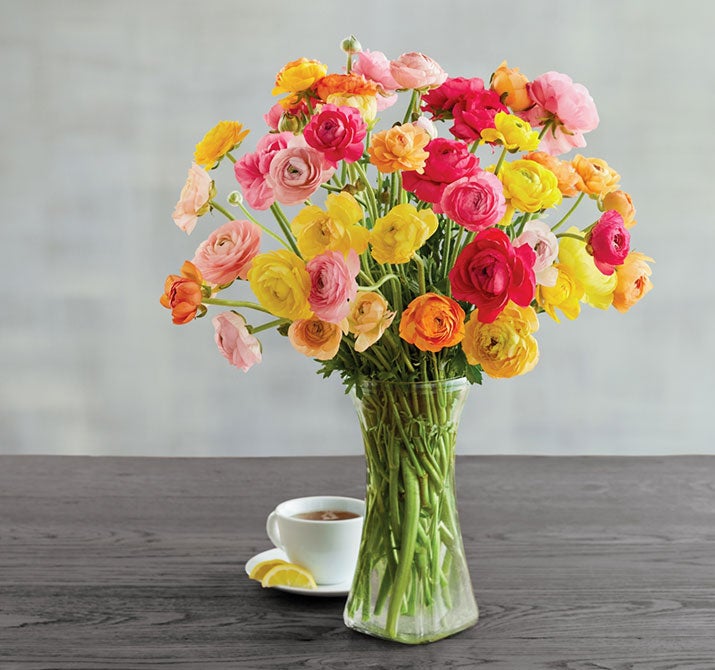 Flower & Plant Delivery Send Flowers & Plant Gifts Harry & David