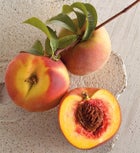 Oregold® Peaches