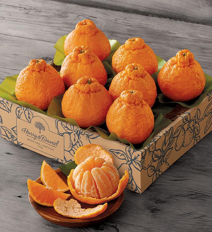 Sumo Citrus® Mandarins, Citrus Fruit Delivered