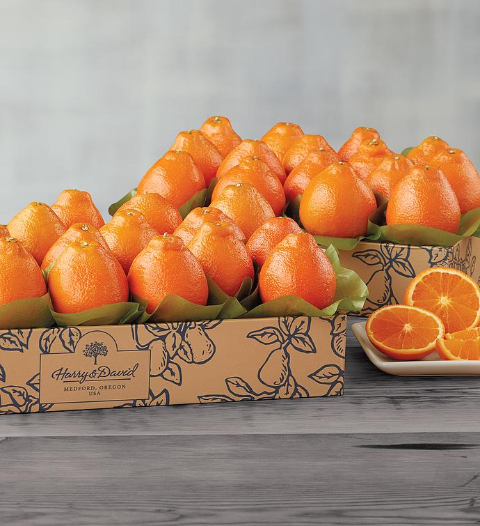 Cushman's® Florida Honey Bells Two Trays