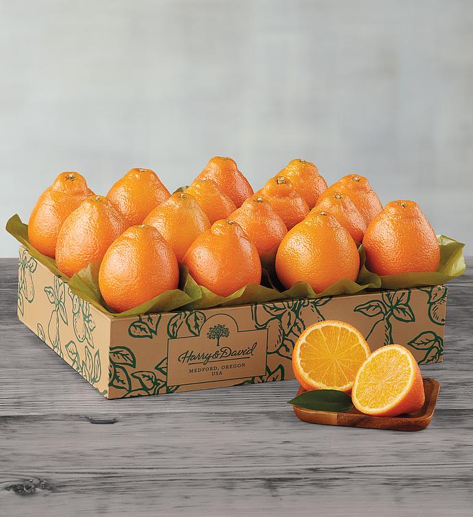 Western Honey Bells One Tray
