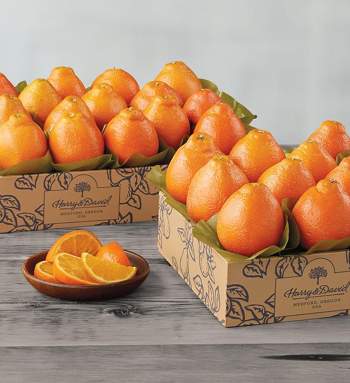 Western HoneyBells - Two Trays