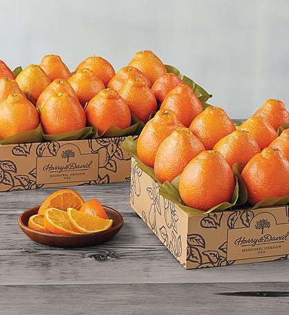 Scarlet Navel Oranges Box, Florida Oranges, Grapefruit, Citrus Gifts -  Hyatt Fruit Company