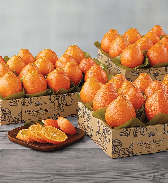 Western HoneyBells  Three Trays