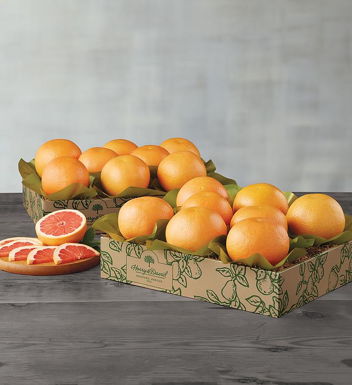 Red Grapefruit   Two Trays