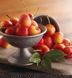 Rainier Cherries 