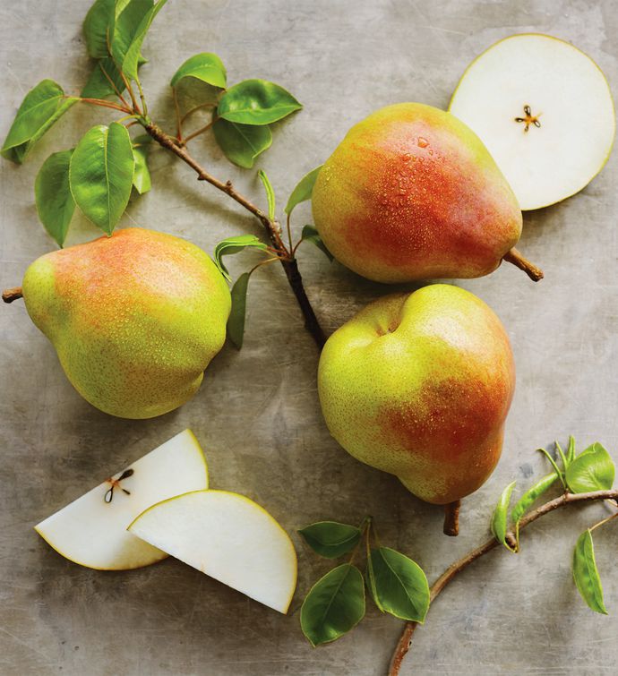 Light Royal Riviera® Pear Club