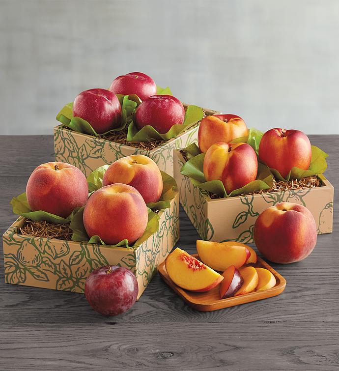 Triple Treat™ Classic Summer Fruit