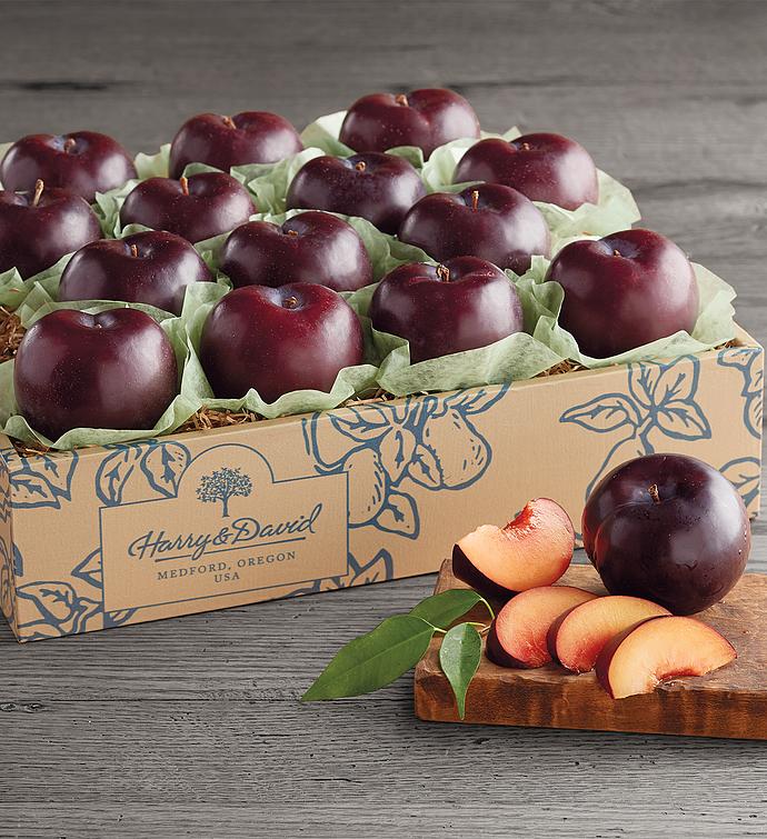 Signature Sweet Juicy Plums