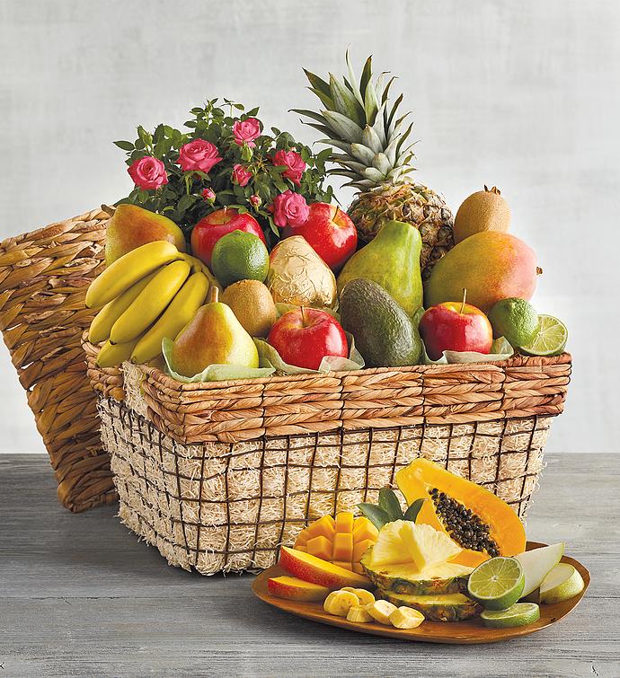 A Taste of Paradise: Exploring Australia's Bountiful Fruit Basket