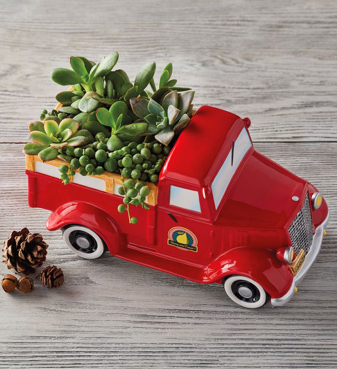 Vintage Truck with Succulents