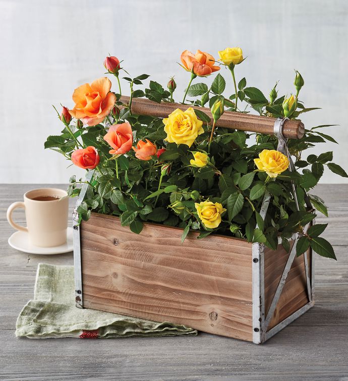Peach and Yellow Mini Rose Crate