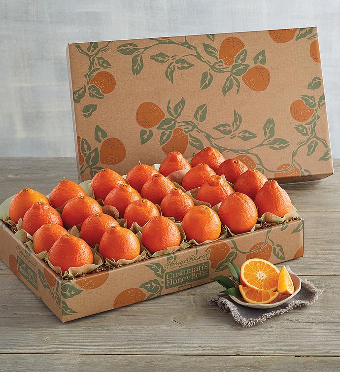 HoneyBell Heritage Box