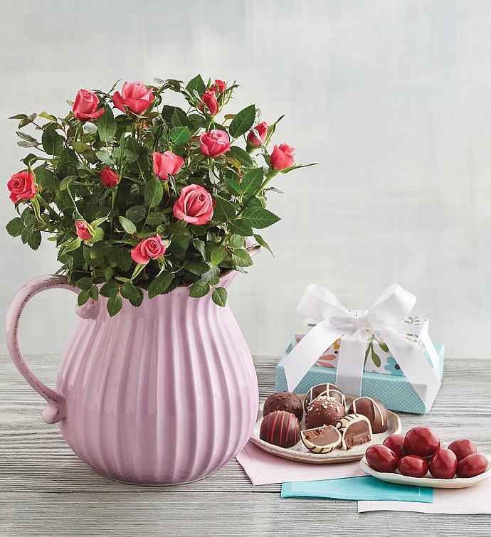 Pink Mini Rose Pitcher Gift Harry & David