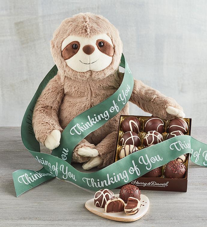 "Thinking of You" Sloth Plush with Truffles