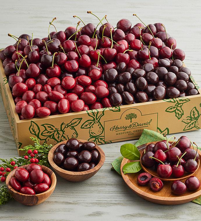 Plump Sweet Cherries and Chocolate Covered Cherries