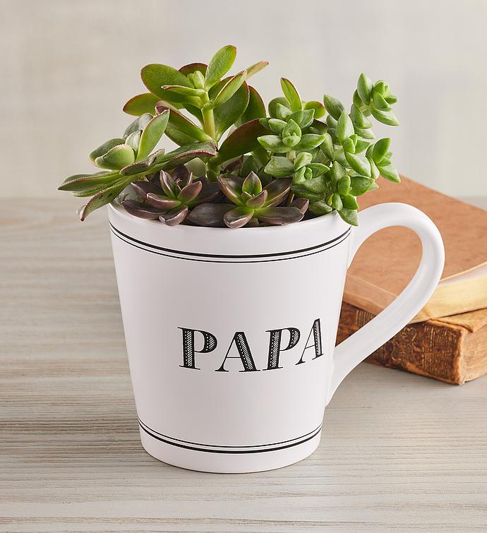 "Papa" Mug Succulent Garden