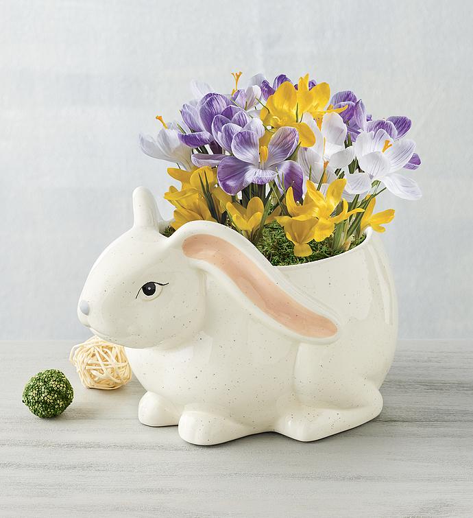 Crocus Bulb Garden in Bunny Planter