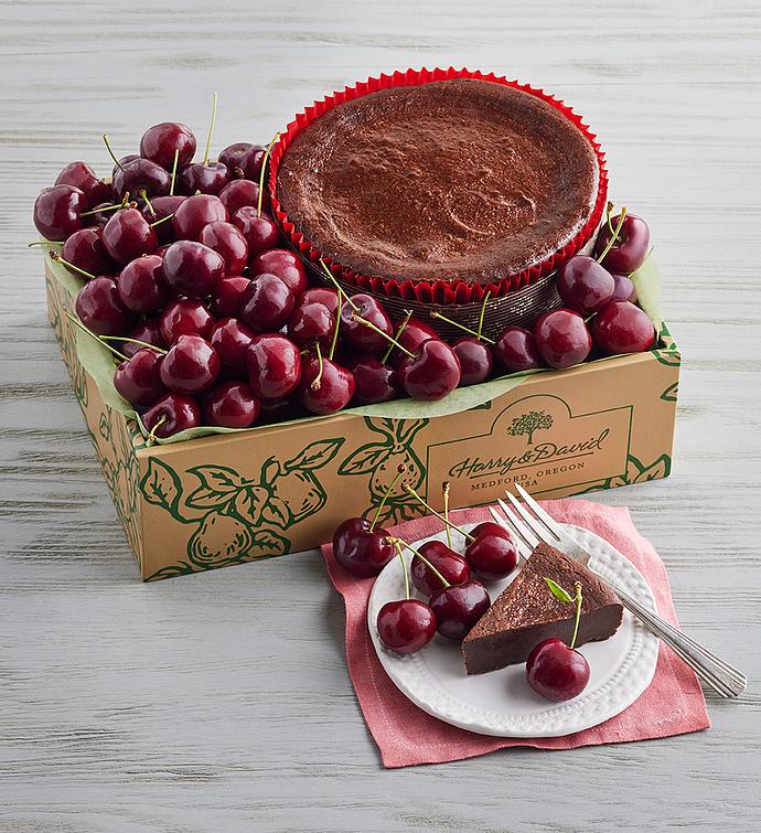 Plump Sweet Cherries and Chocolate Decadence Cake