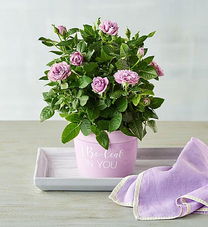 "I Be-leaf in You" Plant Gift