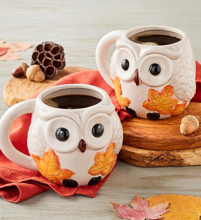 Fall Owl Mug Duo