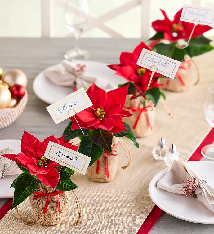 Poinsettia Place Card Holders   Set of 4