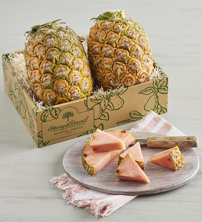 Pinkglow® Petite Pineapple Duo