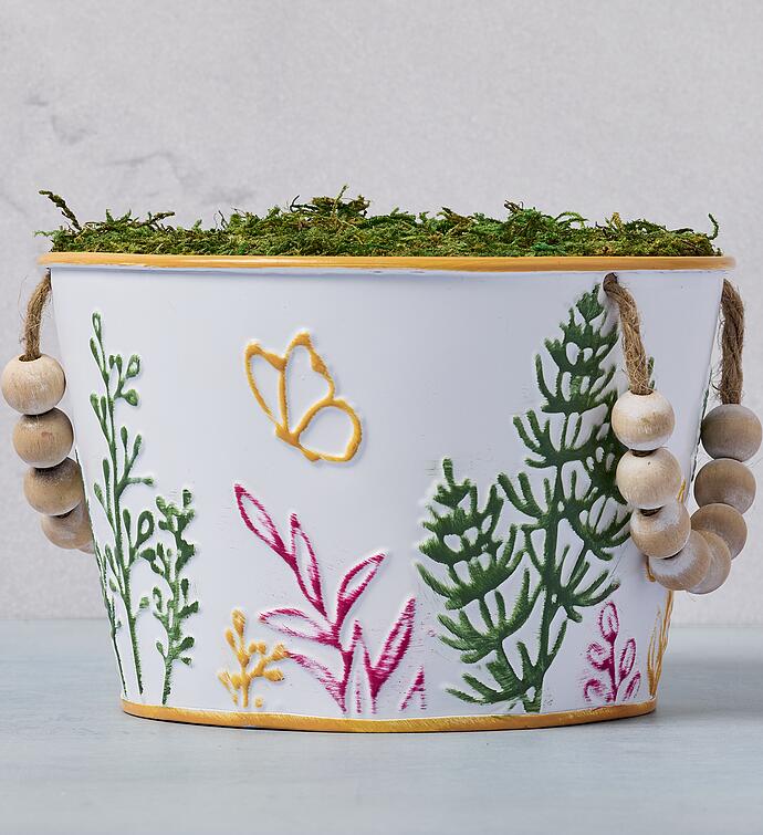 Gardenia with Cookies