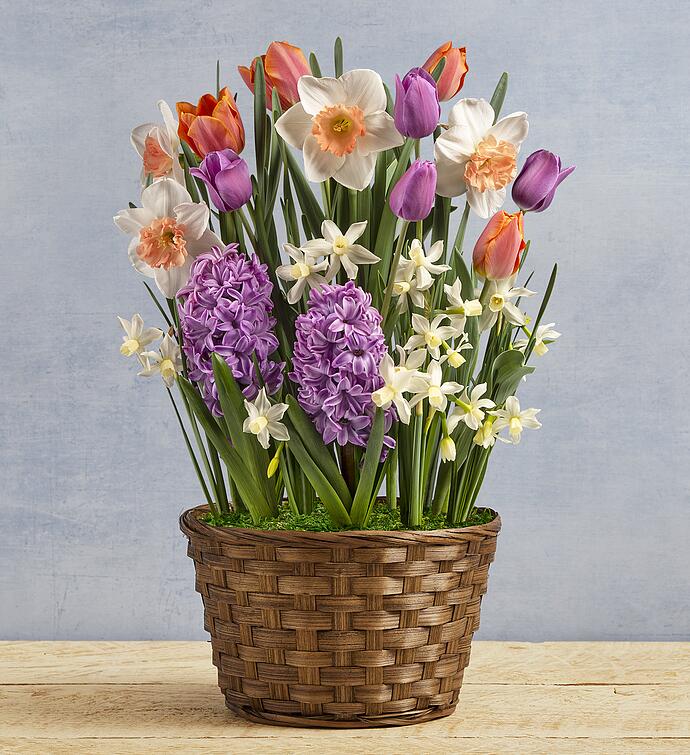 Grand Spring Bulb Garden