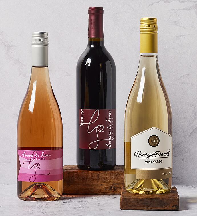 Red, White, and Rosé Wine Trio