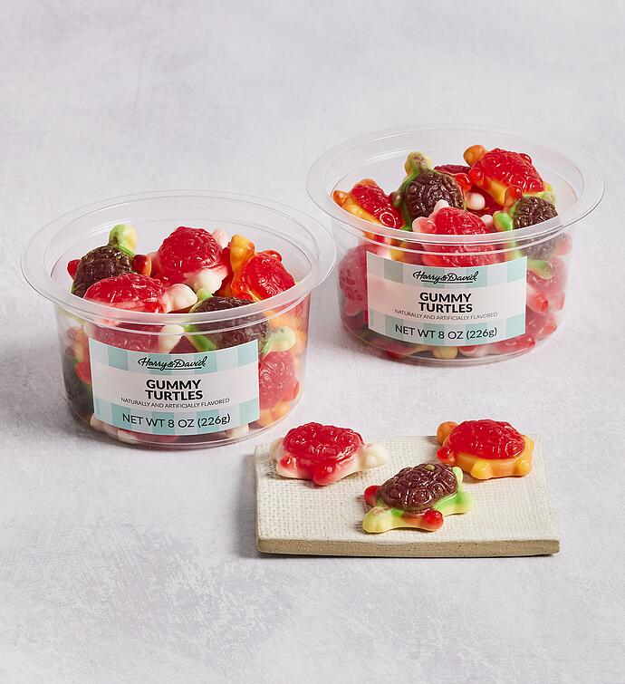 Gummy Turtles 2 Pack