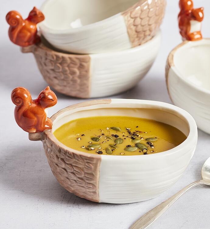 Acorn Soup Bowls   Set of 4