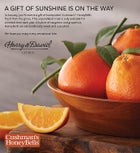 Western HoneyBells - One Tray