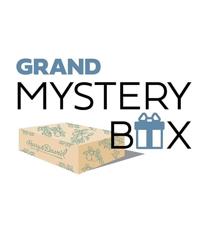 Grand Mystery Box