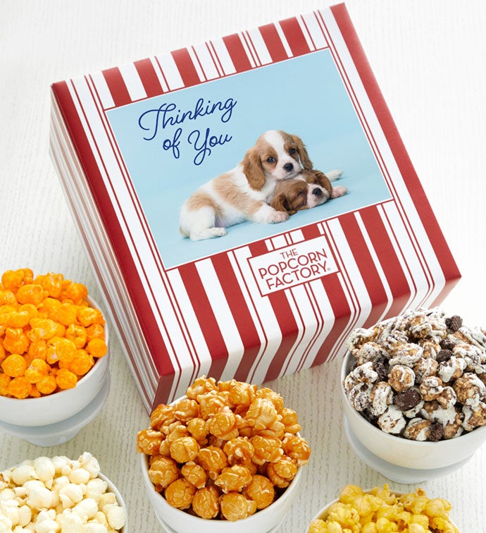 感謝価格‼️クッションタグpopcorn No.272 Packed With Pop™ Thinking Of You Dog | The Popcorn Factory